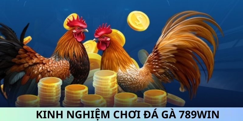 Bật mí bí quyết chơi chọi kê 789WIN dễ thắng